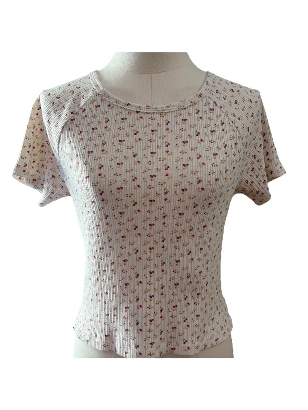 American Eagle Outfitters Ribbed Baby Tee Top Size M Micro Floral Stretch Sexy